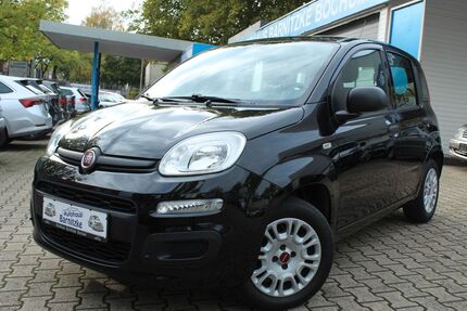 Fiat Panda 71.380 km 7.790 &euro; Bochum 44866