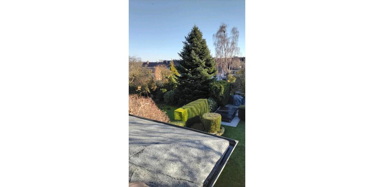 Dachgeschoßwohnung Essen Stadtbezirk II - 2.5 Zimmer, 67 m&sup2;, 800&euro; | Angebot:25841713