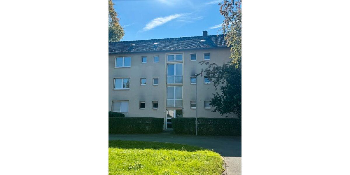 Erdgeschoßwohnung Bochum Bochum-Mitte - 2.5 Zimmer, 41 m&sup2;, 427&euro; | Angebot:25356233