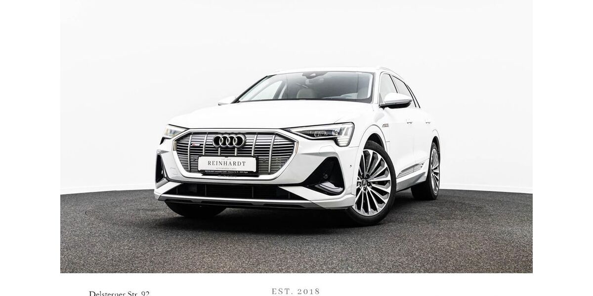 Audi e-tron 69.917 km 31.780 &euro; Hagen 58091