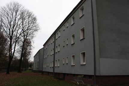 Wohnung Oberhausen Rothebusch - 2 Zimmer, 39 m&sup2;, 364&euro; | Angebot:25927183