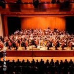 Deutsches Cello-Orchester