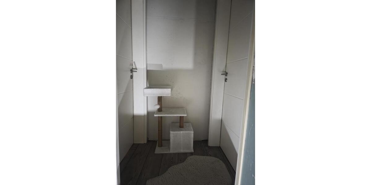 Doppelhaushälfte Gelsenkirchen Gelsenkirchen-Nord - 3 Zimmer, 76 m&sup2;, 235.000&euro; | Angebot:25944097