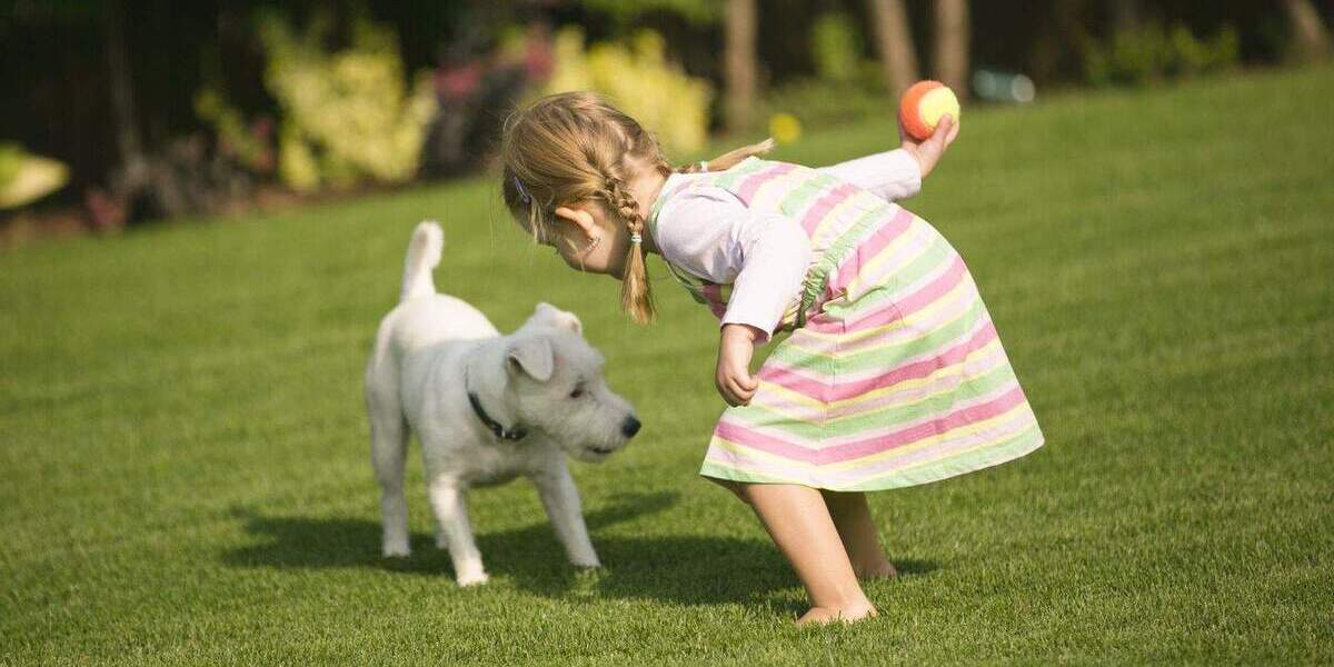 Etagenwohnung Mülheim Speldorf - 2 Zimmer, 74 m&sup2;, 398.000&euro; | Angebot:25725864