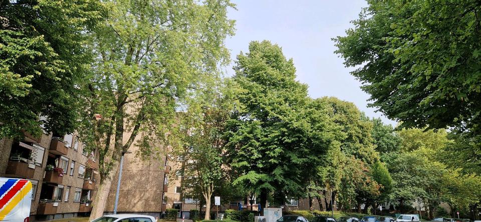 Etagenwohnung Gelsenkirchen Gelsenkirchen-Nord - 2.5 Zimmer, 63 m&sup2;, 145.000&euro; | Angebot:27197394