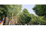 Etagenwohnung Gelsenkirchen Gelsenkirchen-Nord - 2.5 Zimmer, 63 m&sup2;, 145.000&euro; | Angebot:27197394