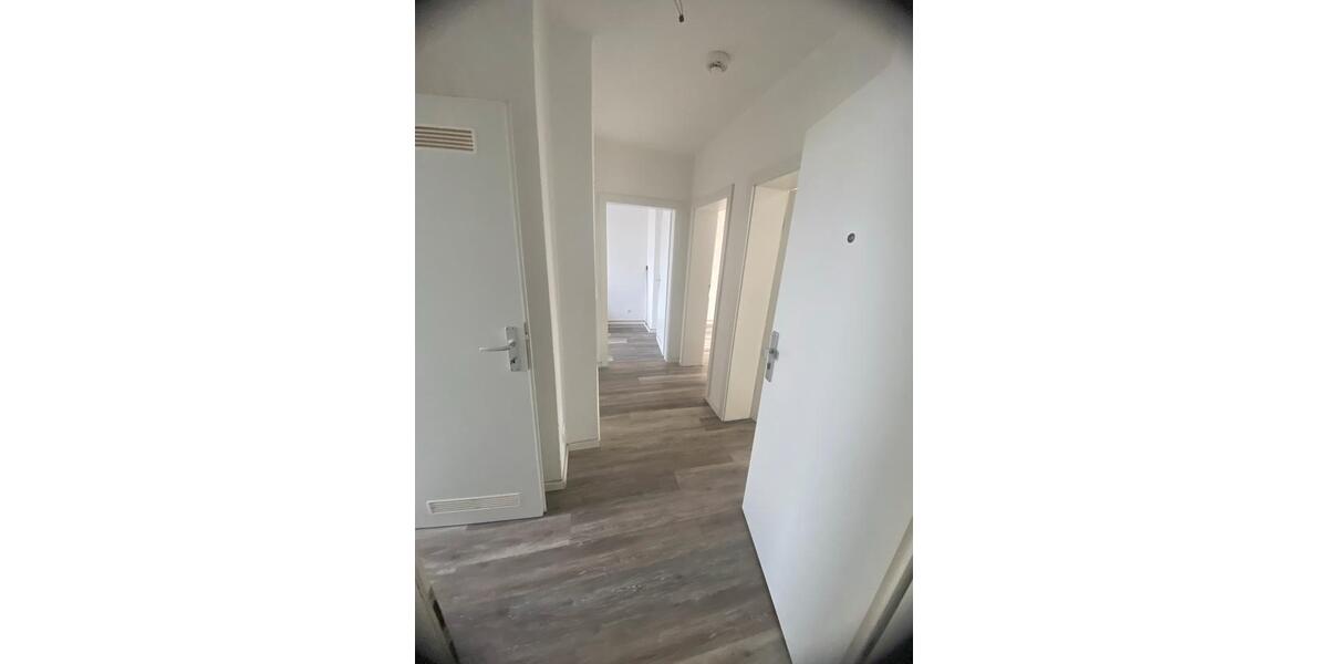 Etagenwohnung Wuppertal Gemarkung Langerfeld - 2 Zimmer, 52 m&sup2;, 522&euro; | Angebot:24943789