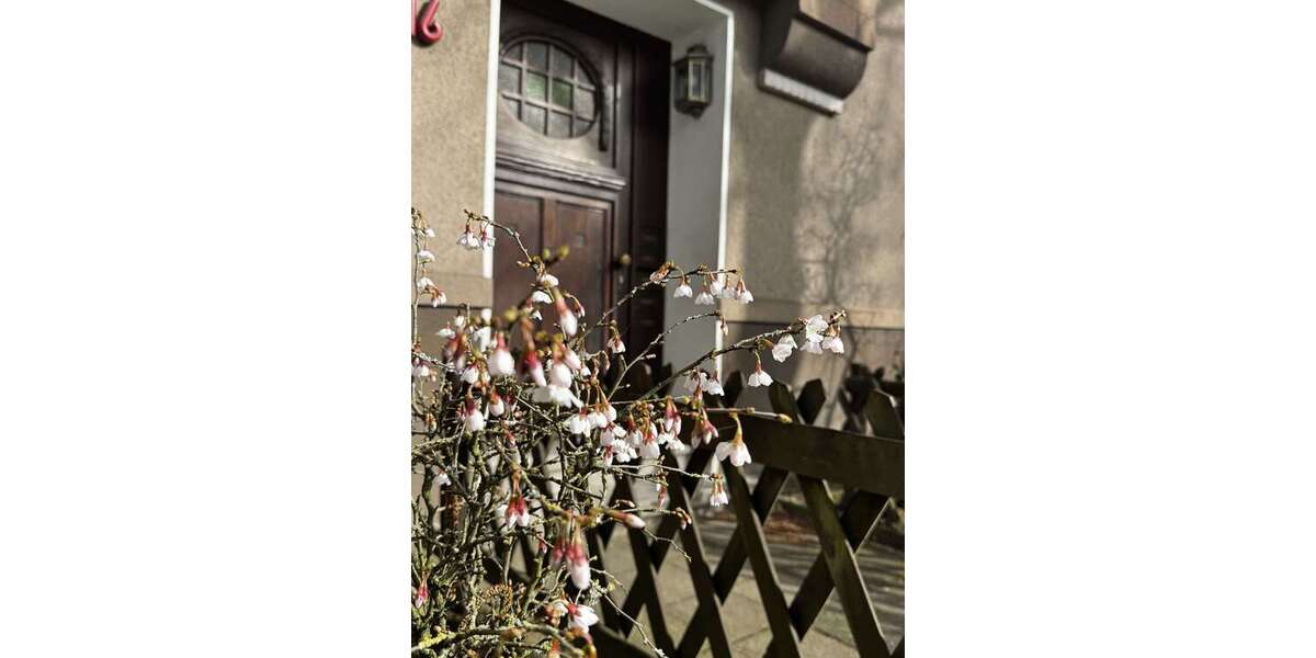 Etagenwohnung Gelsenkirchen Gelsenkirchen-Mitte - 2 Zimmer, 66 m&sup2;, 85.000&euro; | Angebot:27020154