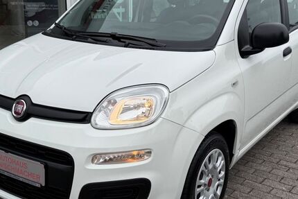 Fiat Panda 76.399 km 7.888 &euro; Radevormwald 42477