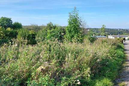 Grundstück Schwelm - 215.000&euro; | Angebot:25498466