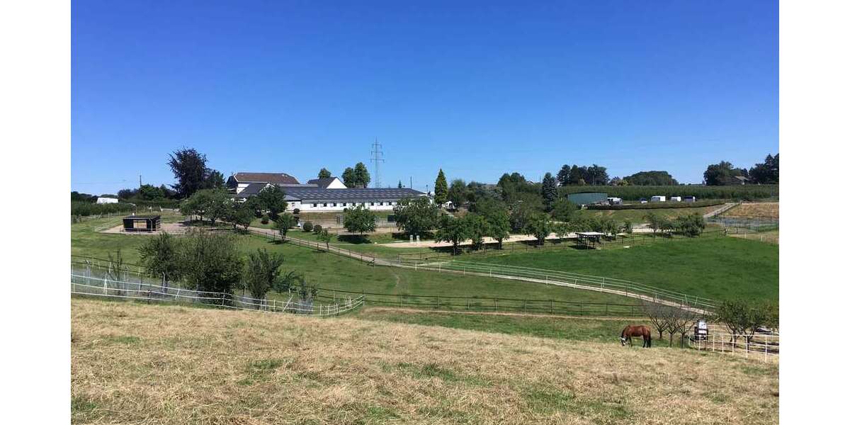 Einfamilienhaus Burscheid - 14 Zimmer, 506 m&sup2;, 1.985.000&euro; | Angebot:25203768