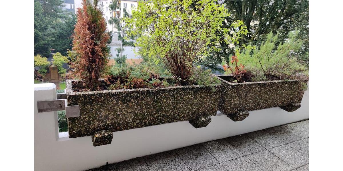 Etagenwohnung Düsseldorf Stadtbezirk 3 - 2 Zimmer, 59 m&sup2;, 856&euro; | Angebot:25369342