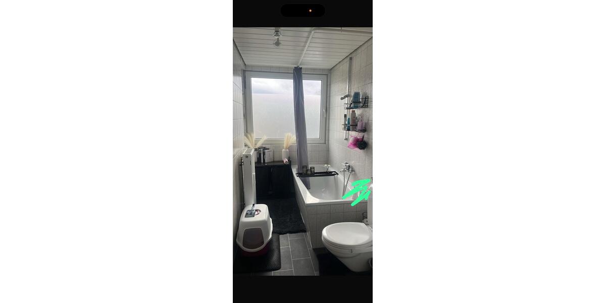 Dachgeschoßwohnung Hagen - 2 Zimmer, 45 m&sup2;, 320&euro; | Angebot:27544319