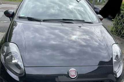 Fiat Punto Evo 115.000 km 2.000 &euro; Velbert 42555