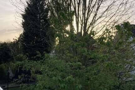 Zimmer Essen / Werden Werden - 3 Zimmer, 1.600&euro; | Angebot:19205124