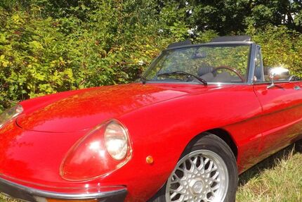 Alfa Romeo Spider 22.297 km 16.500 &euro; Mettmann 40822