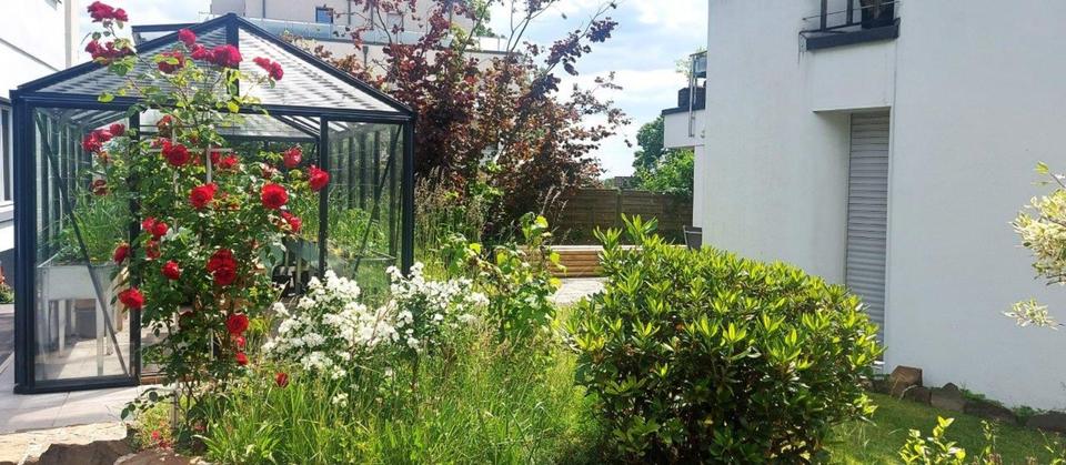 Erdgeschoßwohnung Solingen Central - 2 Zimmer, 100 m&sup2;, 1.000&euro; | Angebot:25478961