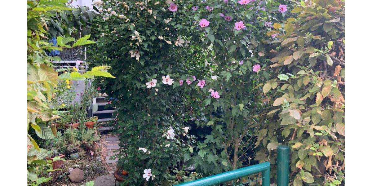 Etagenwohnung Monheim - 3 Zimmer, 76 m&sup2;, 839&euro; | Angebot:27201862