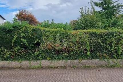 SONNENSTÜCK - UNBEBAUT UND NAHERHOLUNG - Grundstück Essen Stadtbezirk VII | Angebot:25832230