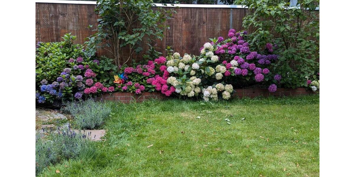 Doppelhaushälfte Bochum Bochum-Ost - 9 Zimmer, 170 m&sup2;, 600.000&euro; | Angebot:25945103