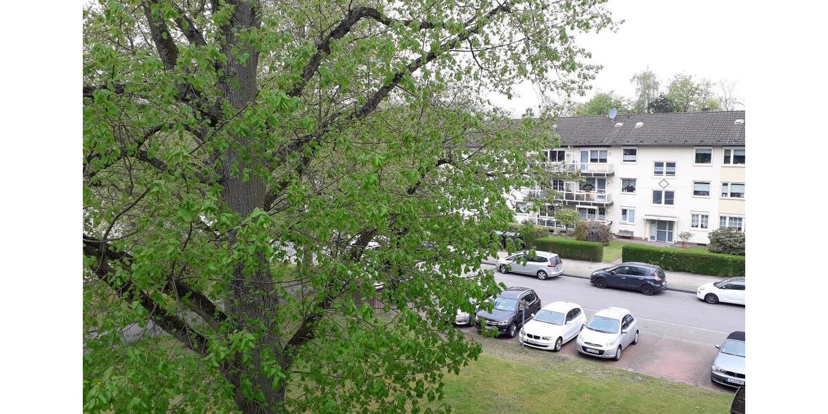 Etagenwohnung Essen Stadtbezirk VII - 3 Zimmer, 65 m&sup2;, 569&euro; | Angebot:25395105