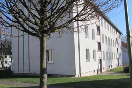 Wohnung Essen Stadtbezirk VI - 2 Zimmer, 52 m&sup2;, 556&euro; | Angebot:24634578