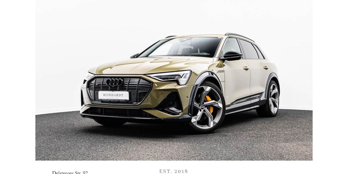Audi e-tron 42.219 km 47.598 &euro; Hagen 58091