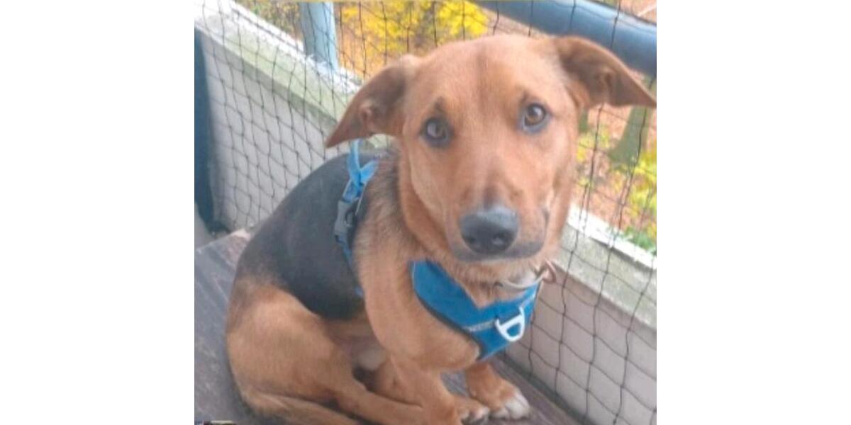 Etagenwohnung Neuss - 1 Zimmer, 25 m&sup2;, 200&euro; | Angebot:24532103