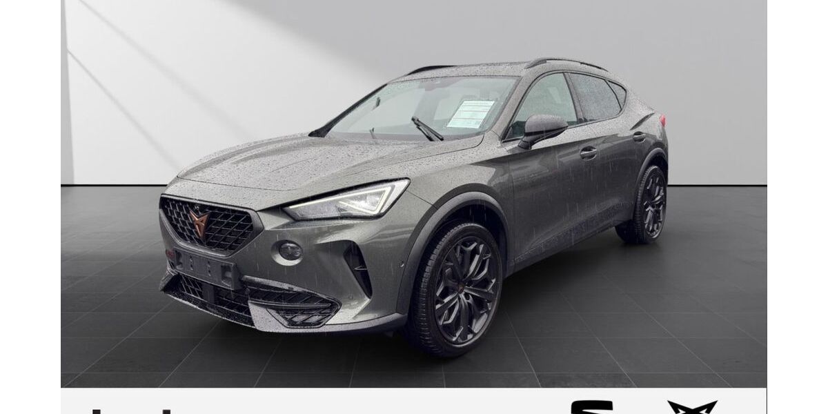 Cupra Formentor 19.816 km 43.990 &euro; Solingen 42719