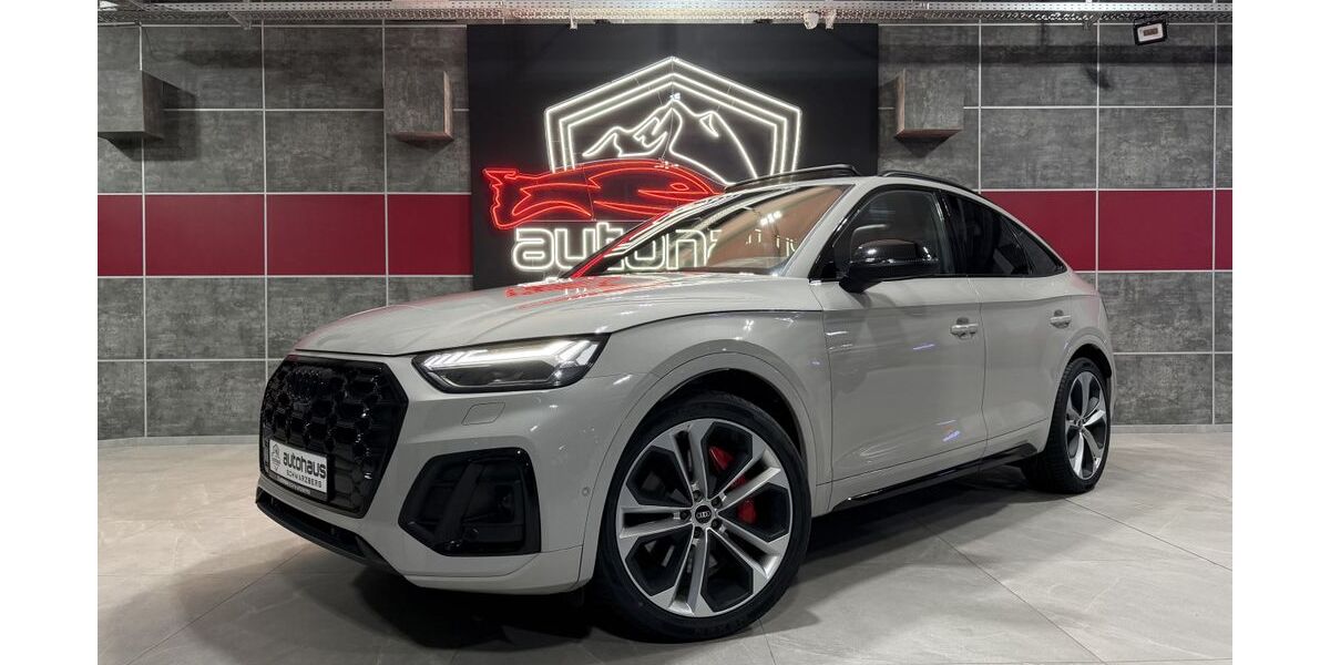 Audi SQ5 91.400 km 51.990 &euro; Remscheid 42897