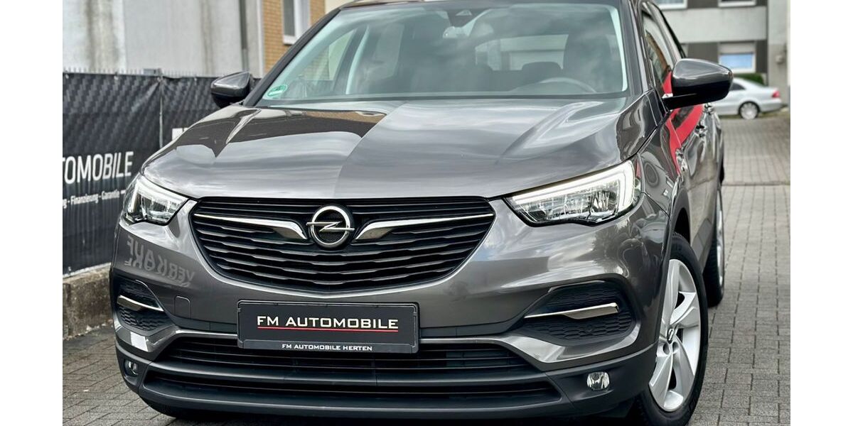 Opel Grandland (X) 69.875 km 11.450 &euro; Herten 45699