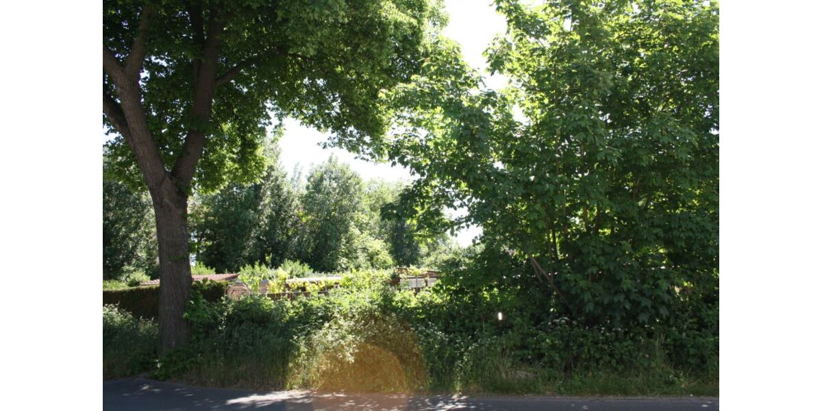 Provisionsfrei* Das letzte Haus Eckhaus EFH mit PV 10,4 KW+Garage 140m zum Rheinufer Energiebedarf 22,4 kWhm2a - Reihenendhaus Duisburg Essenberg | Angebot:25767241