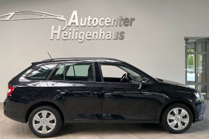 Skoda Fabia 78.583 km 7.880 &euro; Heiligenhaus 42579