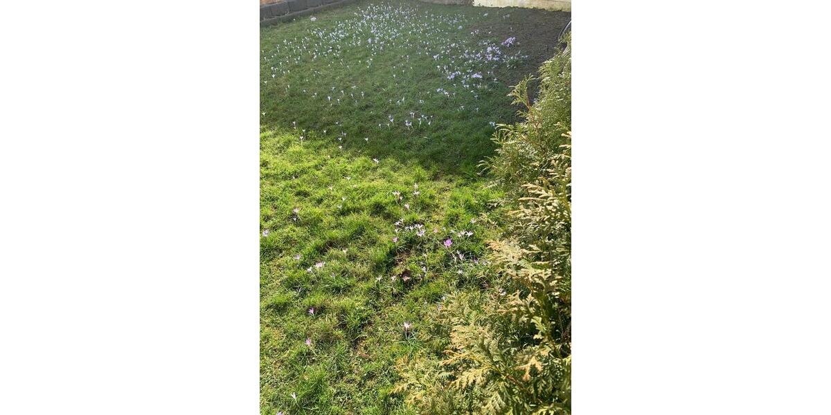 Etagenwohnung Solingen - 2 Zimmer, 50 m&sup2;, 800&euro; | Angebot:25221295