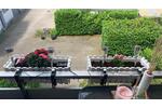 Etagenwohnung Essen Stadtbezirk IV - 3.5 Zimmer, 70 m&sup2;, 229.000&euro; | Angebot:26827314