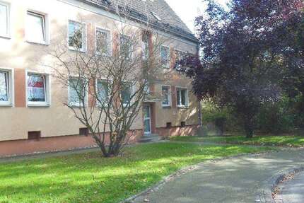 Wohnung Gelsenkirchen Horst - 2 Zimmer, 45 m&sup2;, 349&euro; | Angebot:27201877