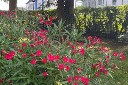 Grundstück Hagen Dahl - 133.000&euro; | Angebot:22282828