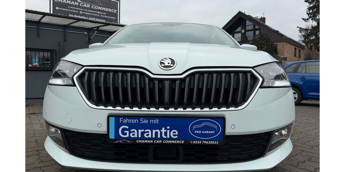 Skoda Fabia 135.300 km 9.950 &euro; Bochum 44791