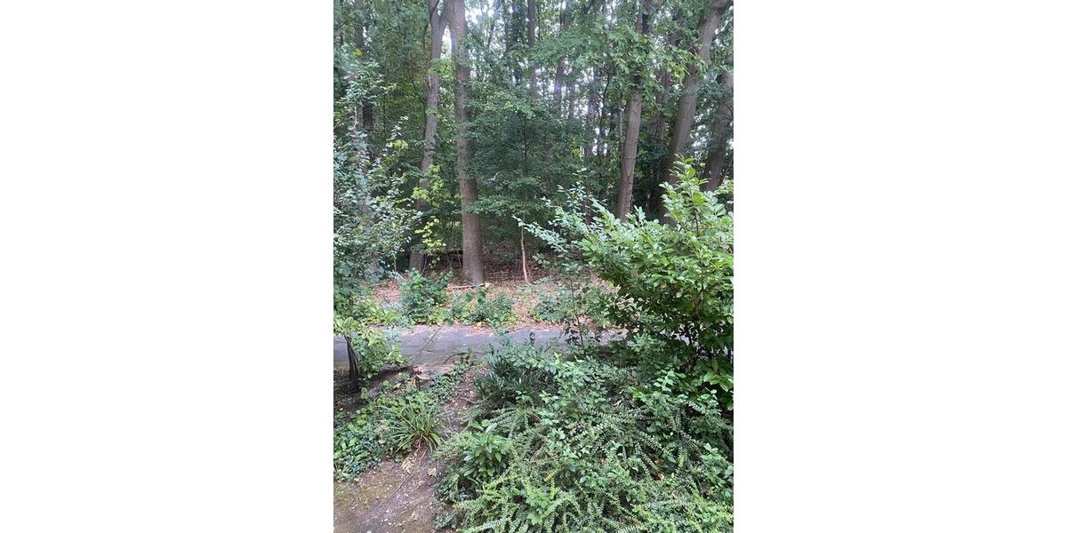 Etagenwohnung Erkrath - 2 Zimmer, 65 m&sup2;, 740&euro; | Angebot:25297500