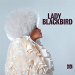 Lady Blackbird