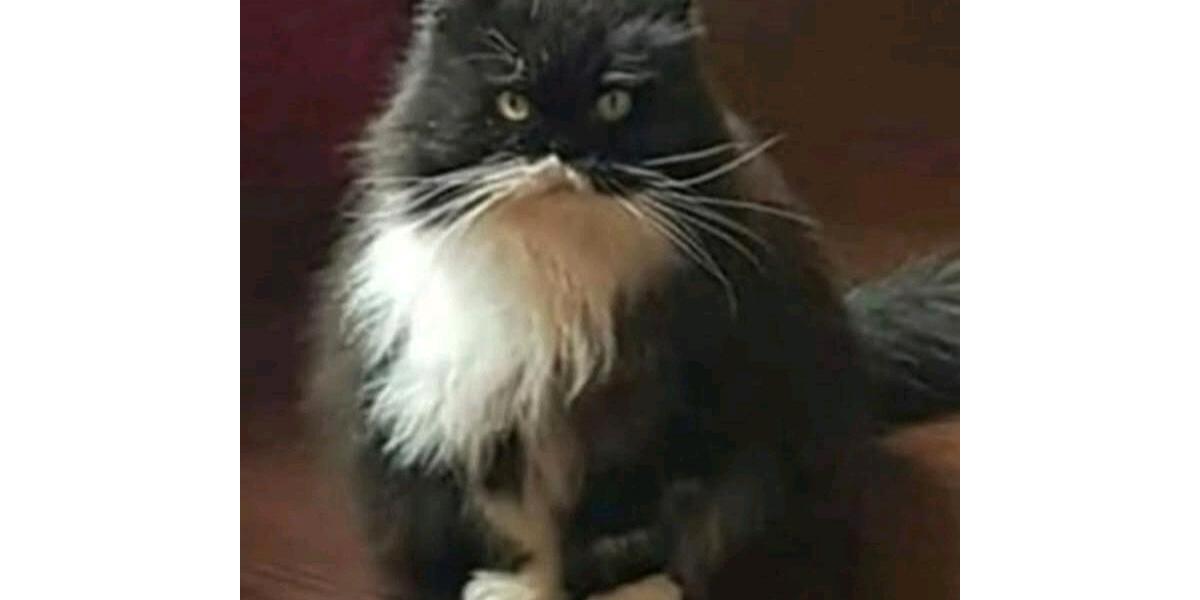 Etagenwohnung Neuss - 1 Zimmer, 25 m&sup2;, 200&euro; | Angebot:24532103