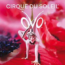 Komfort-Upgrade - Cirque du Soleil - OVO 07.02.2027 Rudolf Weber-ARENA