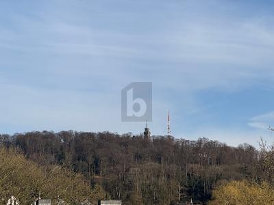 PERFEKTE WOHNLAGE UND UNVERBAUBARE FERNSICHT - Grundstück Velbert Langenberg | Angebot:27509368