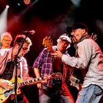 Taste Of Woodstock - A Tribute to Crosby, Stills & Nash And Young
