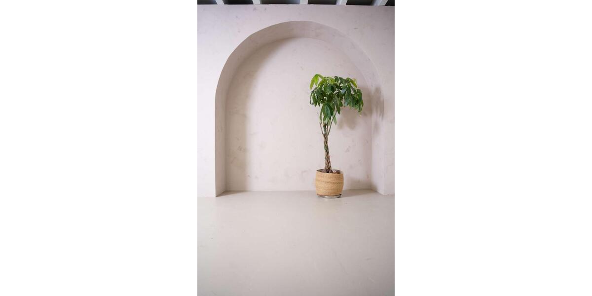 Gewerbeobjekt Düsseldorf Heerdt - 1.821&euro; | Angebot:25992487