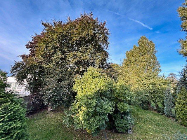 Etagenwohnung Oberhausen Biefang - 3.5 Zimmer, 80 m&sup2;, 800&euro; | Angebot:25974926