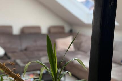 Wohnung Bochum Werne - 3 Zimmer, 92 m&sup2;, 250.000&euro; | Angebot:26613101