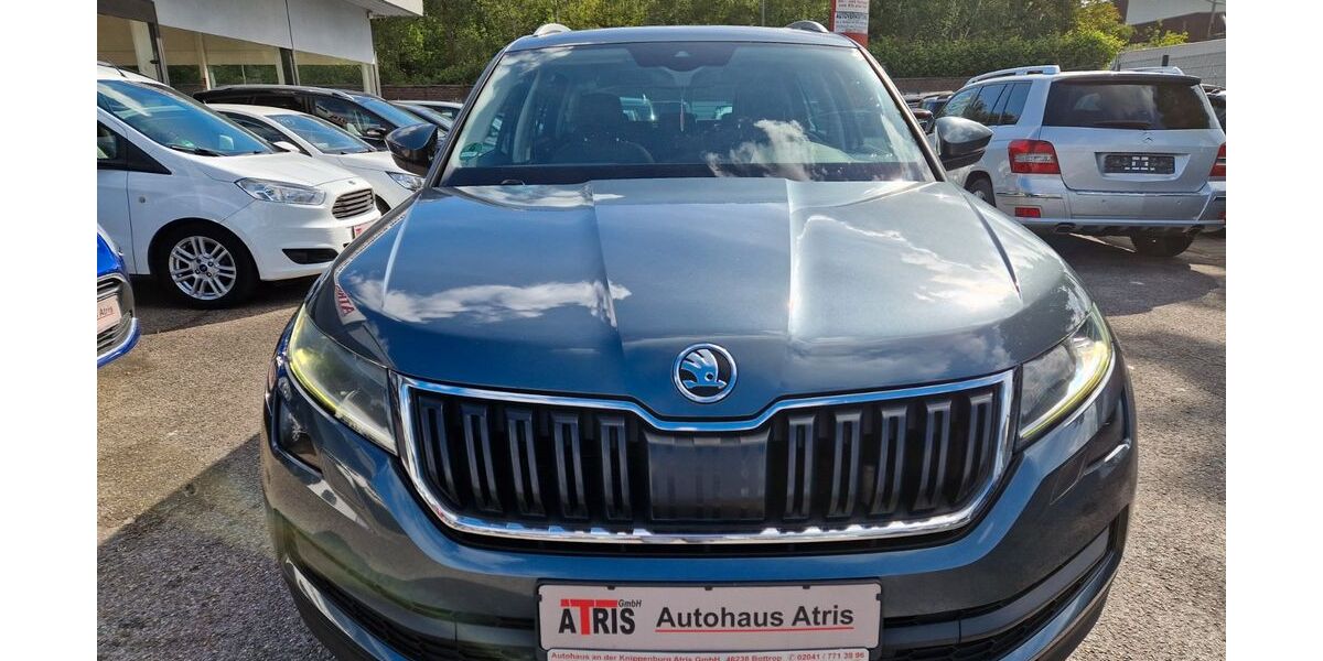 Skoda Kodiaq 249.000 km 14.850 &euro; Bottrop 46238