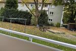 Erdgeschoßwohnung Gelsenkirchen Gelsenkirchen-Nord - 3 Zimmer, 64 m&sup2;, 439&euro; | Angebot:23117788