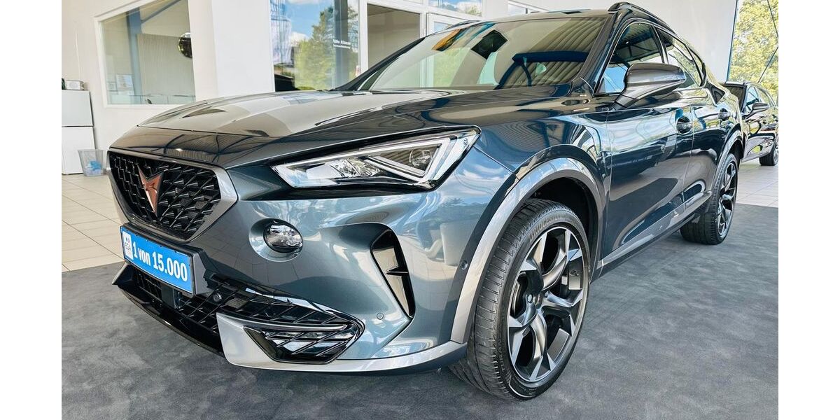 Cupra Formentor 31.380 km 29.590 &euro; Wetter 58300